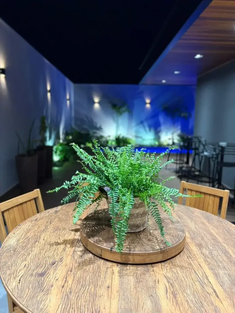 Espaço ACASI - Área exterior